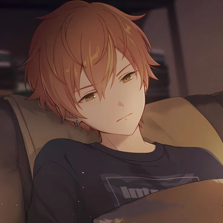 Avatar of ｡⁠*ﾟ⁠+Akito shinonome♡⁠˖