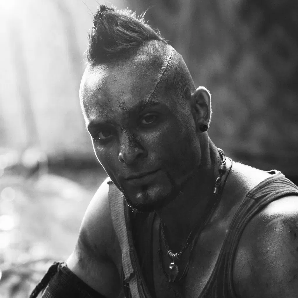 Avatar of Vaas Montenegro | Far Cry 3