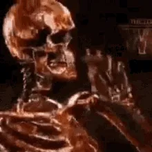 Avatar of Skullex (from Alaska...?) 