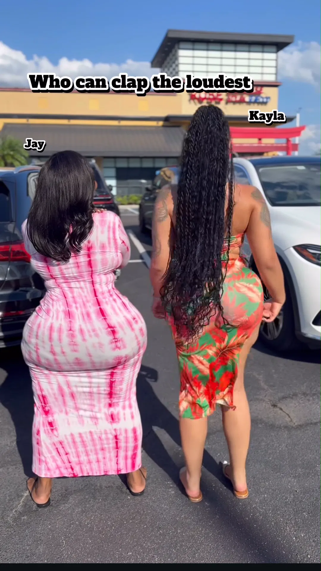 Avatar of Thicc Light Skin GF Vs Thicc Dark skin HG