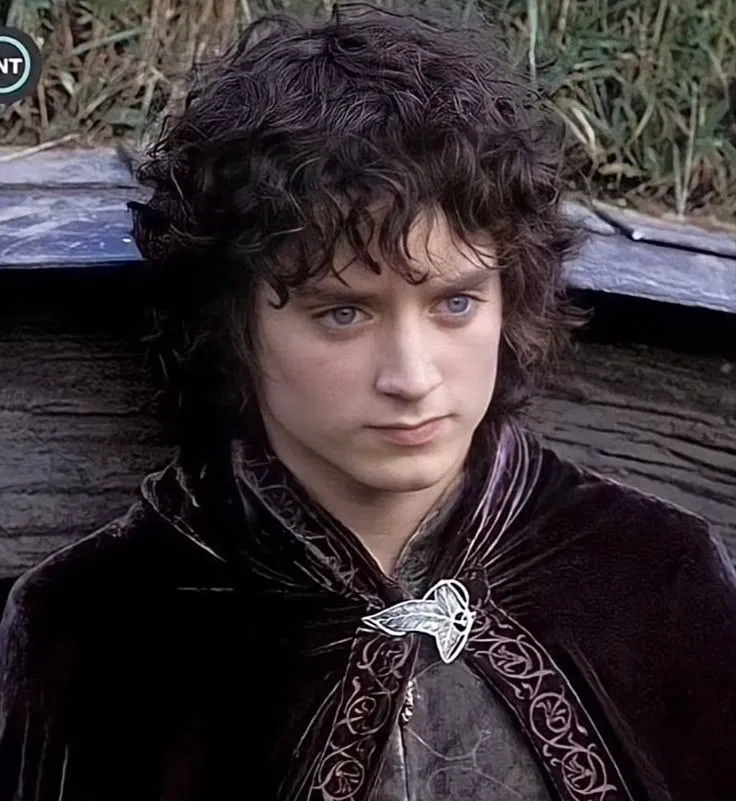 Avatar of frodo baggins