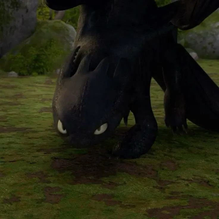 Avatar of Toothless 