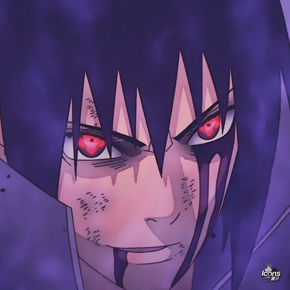 Avatar of 𝙎𝙖𝙨𝙪𝙠𝙚 𝙐𝙘𝙝𝙞𝙝𝙖 