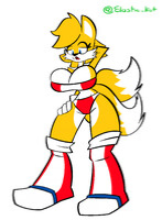 Avatar of A Tailsko Fursuit 