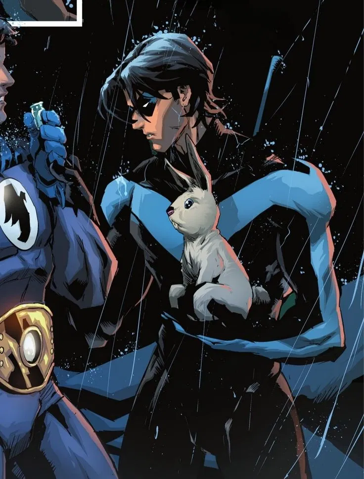 Avatar of Nightwing !