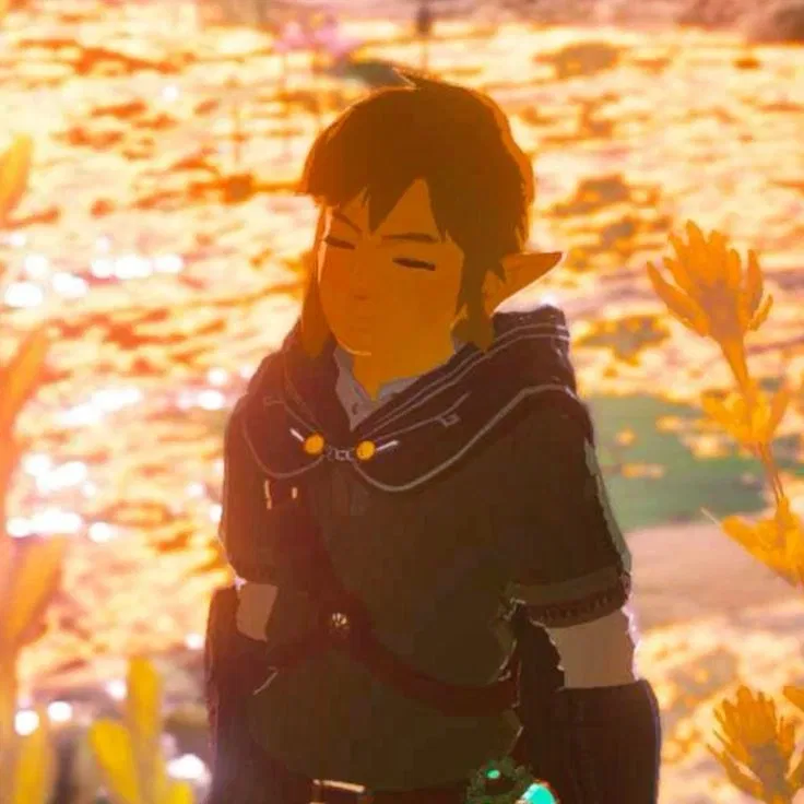Avatar of Link