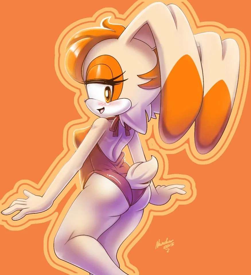 Avatar of S 01- Vanilla the Rabbit REFITTED