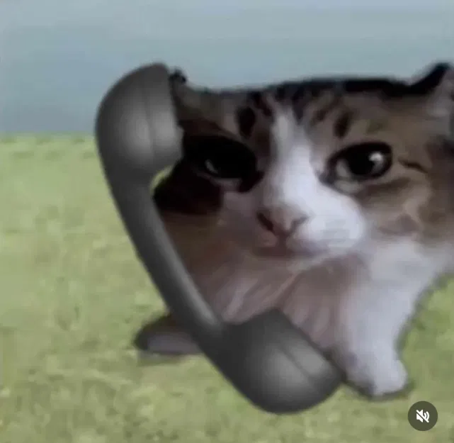Avatar of Jimbo. The cat with the phone. It's not connected to anything though. Oh and did I mention that he's a cat. Yeah Jimbo is a cat. Probably the president too honestly. But mostly just an absolutely normal house cat who's your friend (or enemy, I don't discri