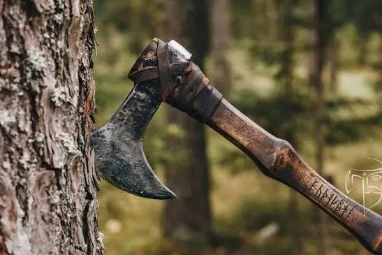 Avatar of Alwin the axe murderer