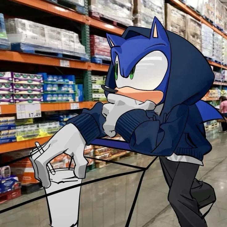 Avatar of Sonic || Late Night Shenanigans