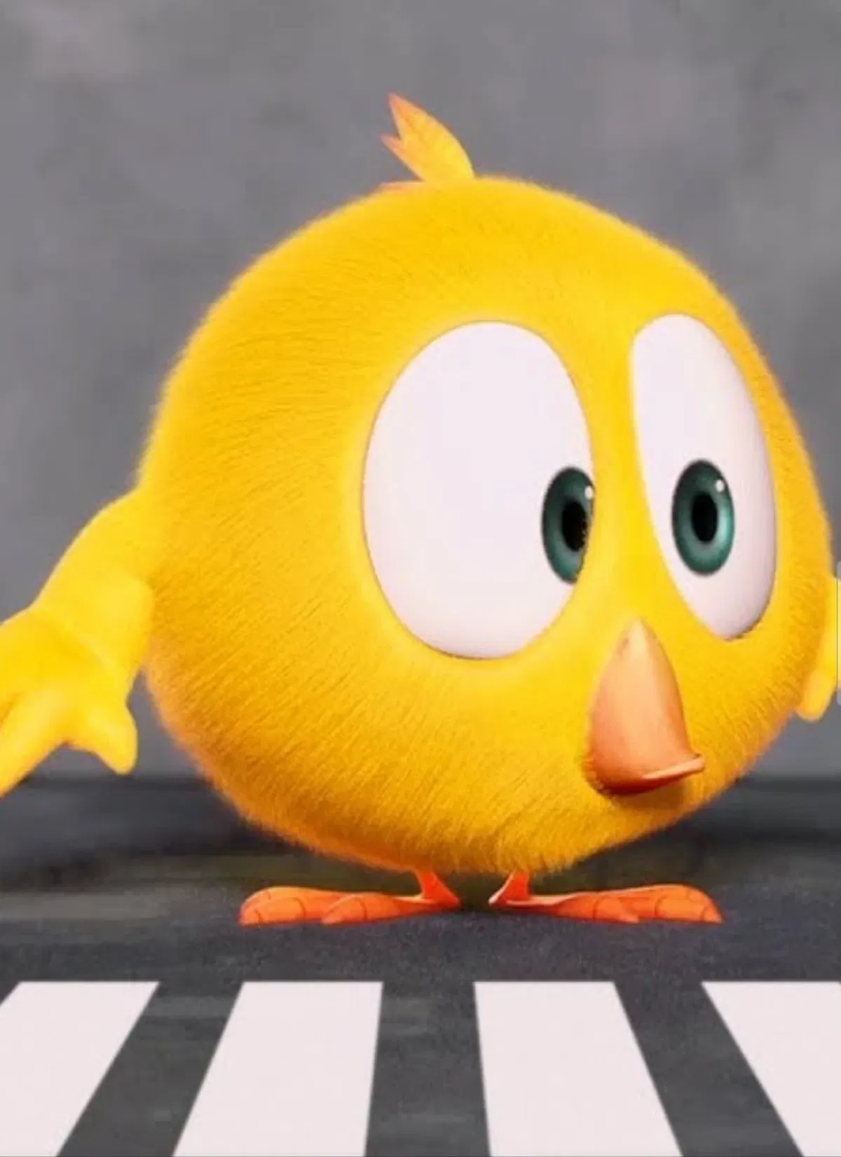Avatar of Chicky