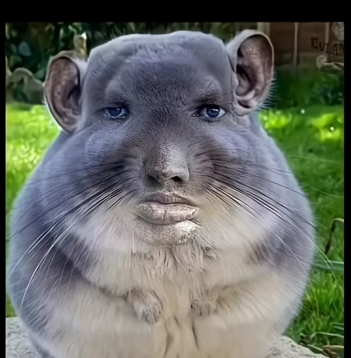 Avatar of hugeligugeli