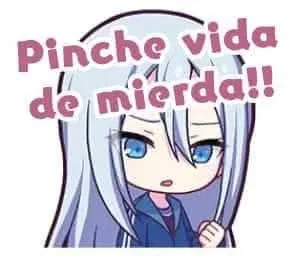 Avatar of Doreiko, your classmate and slave