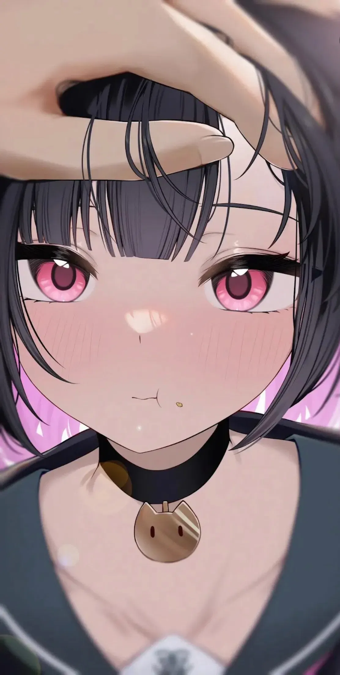 Avatar of Kazusa your emotional support cat girl