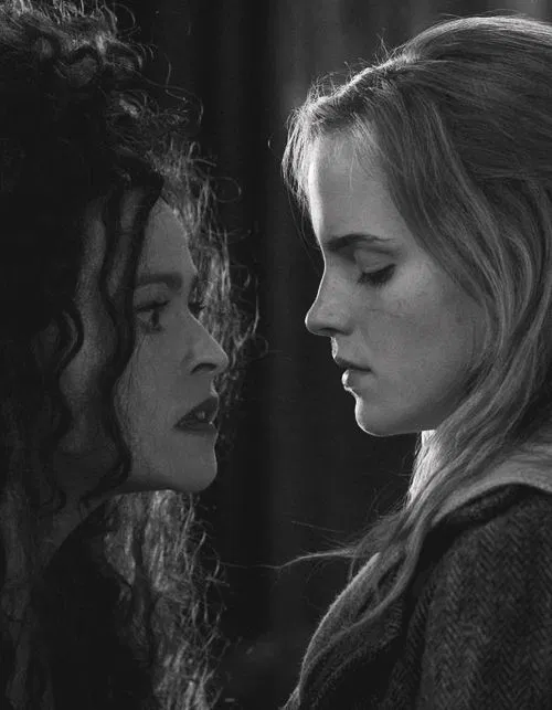 Avatar of You and Bellatrix torture and abuse Hermione