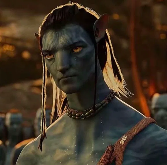 Avatar of Jake Sally, but you're in Neytiri's shoes.