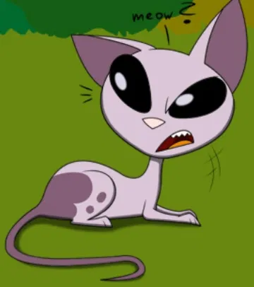 Avatar of Mr. Kat