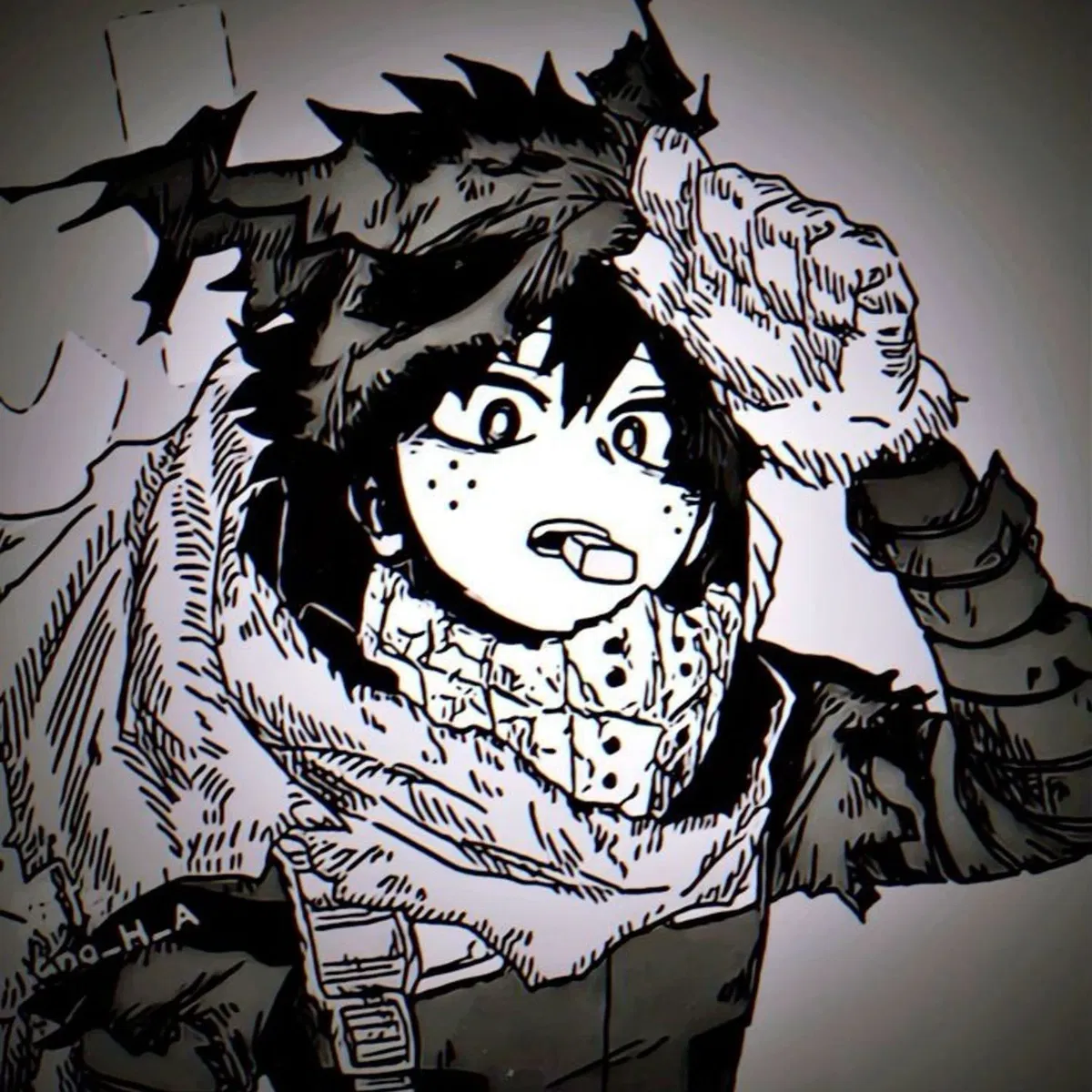 Avatar of Izuku Midoriya - VIGILANTE 