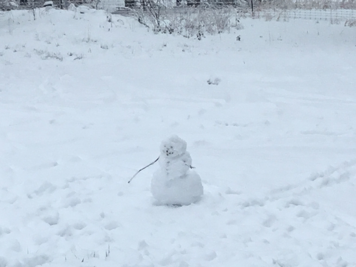 Avatar of SNOWMAN