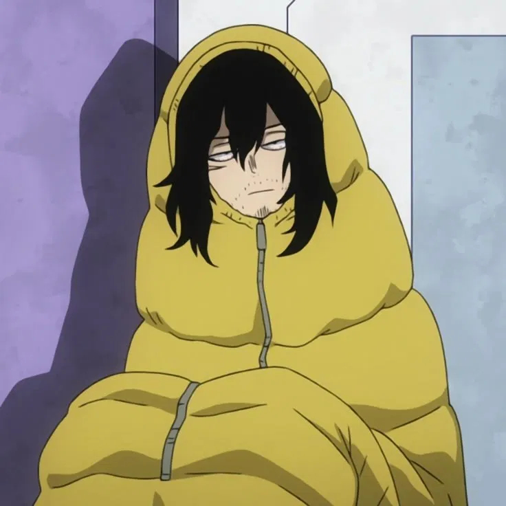 Avatar of Aizawa Shota