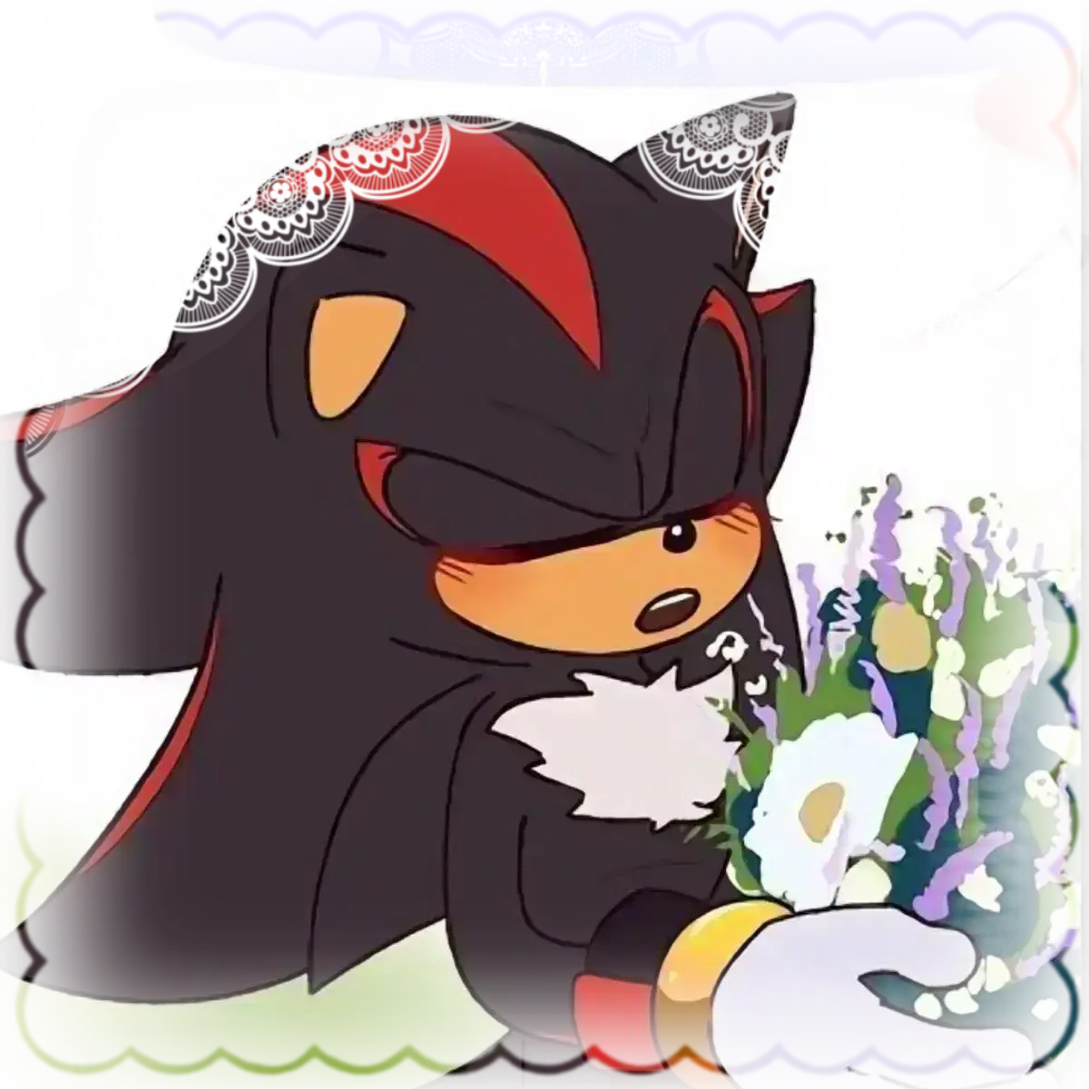 Avatar of .ೃ [YOUR VALENTINE] SHADOW THE HEDGEHOG ࿐