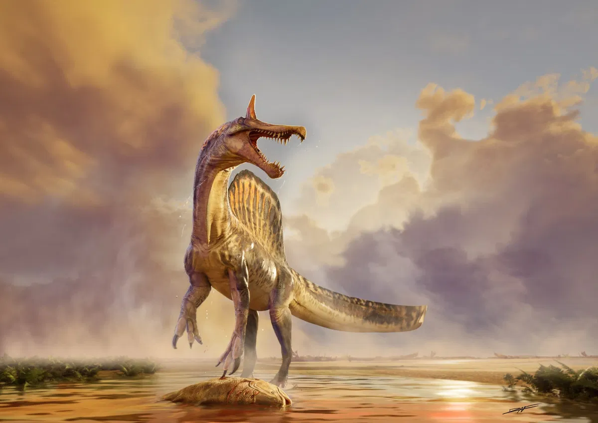 Avatar of Spinosaurus Mirabillis