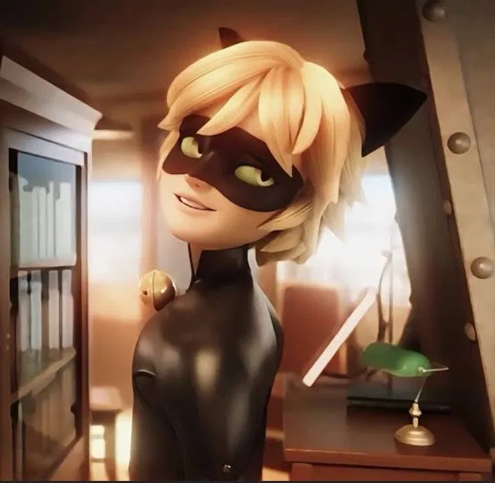 Avatar of ChatNoir