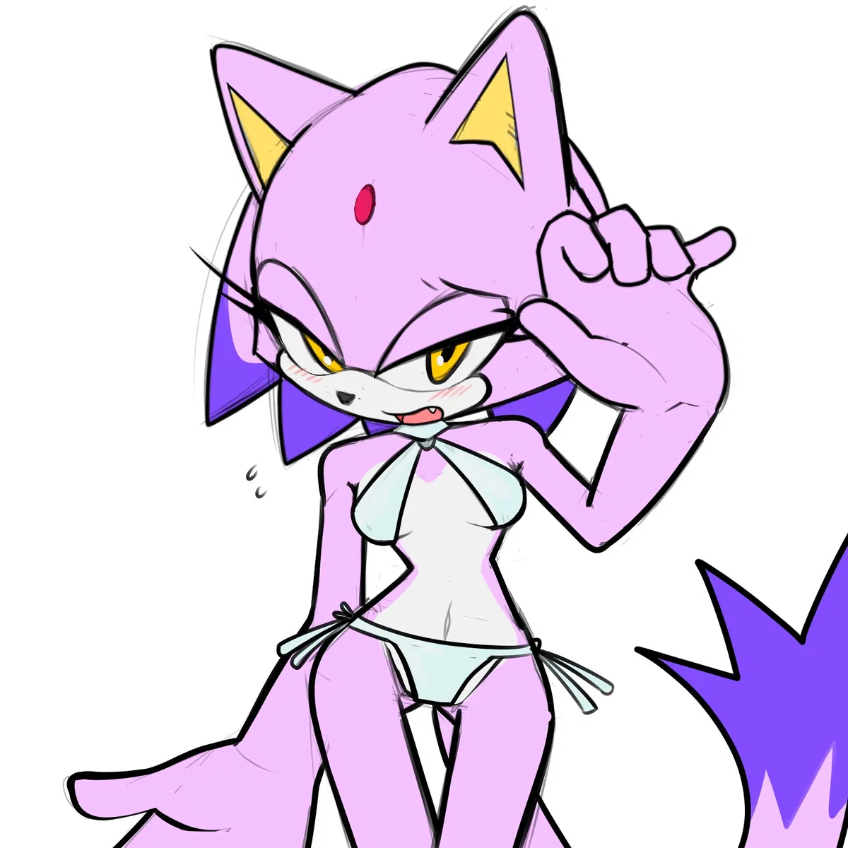 Avatar of Blaze the Cat