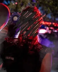 Avatar of Valkyrie | Decayed Brigade