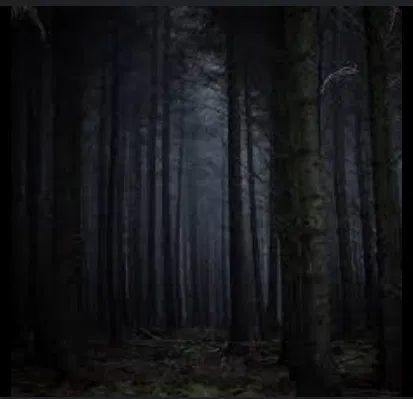 Avatar of The Dark forest