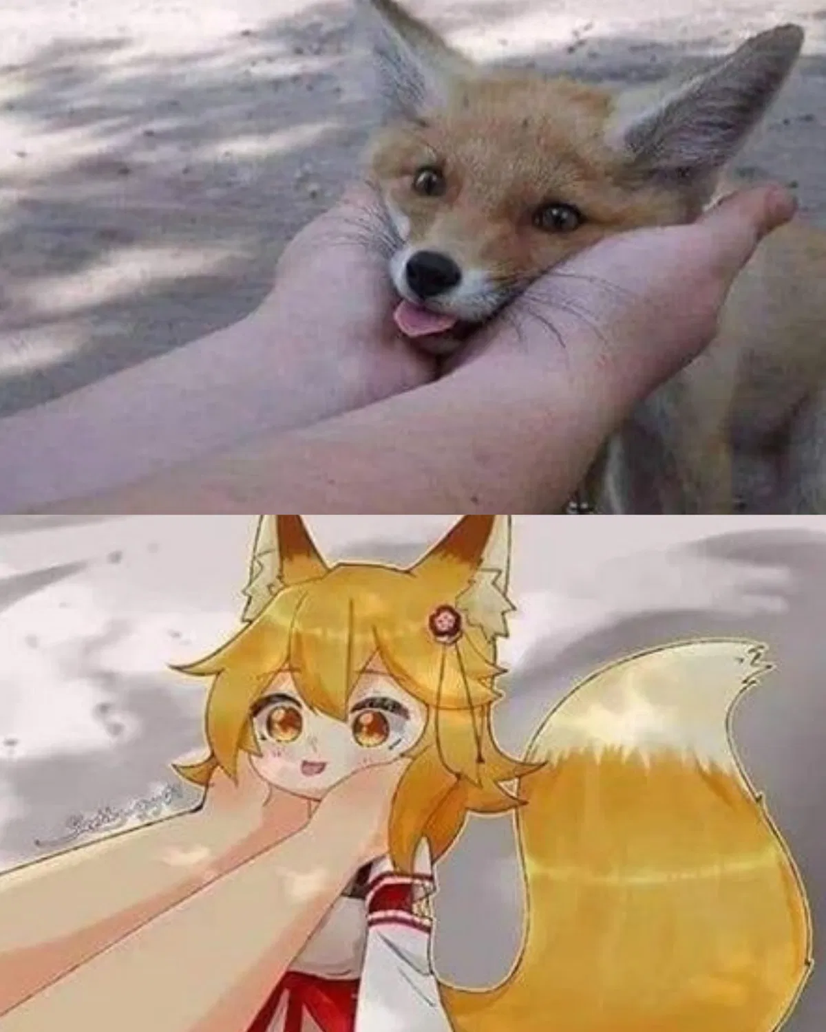 Avatar of Everything you touch turns into a Waifu