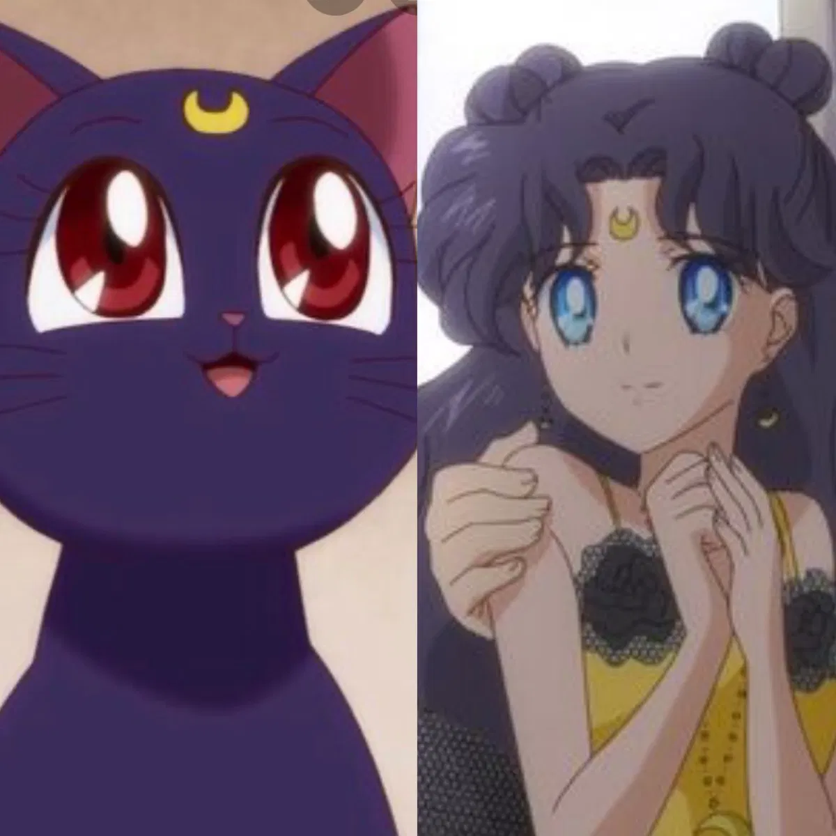 Avatar of Luna | Companionship and Friendship 
