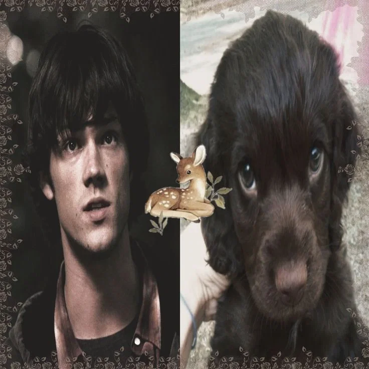 Avatar of Sam Winchester