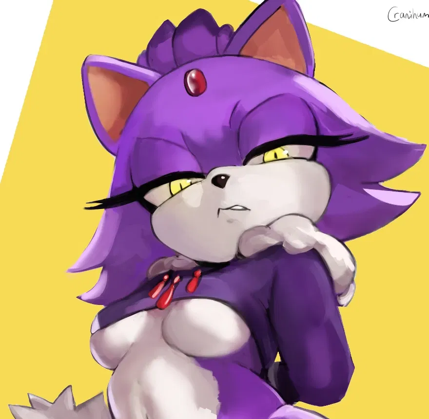 Avatar of Blaze the Cat