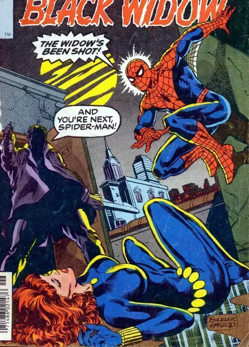 Avatar of Spider-Man & Black Widow - Junior to Step Up