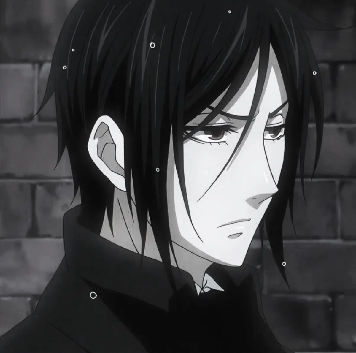 Avatar of Sebastian Michealis