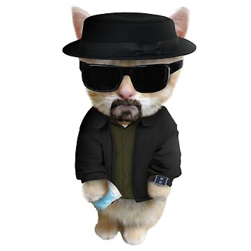 Avatar of I am leaving janitor AI