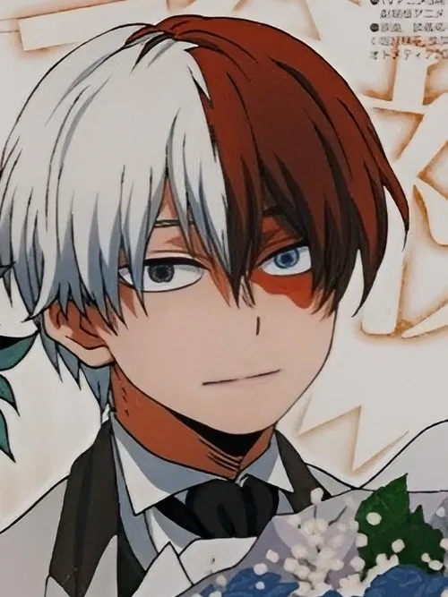Avatar of Shoto todoroki
