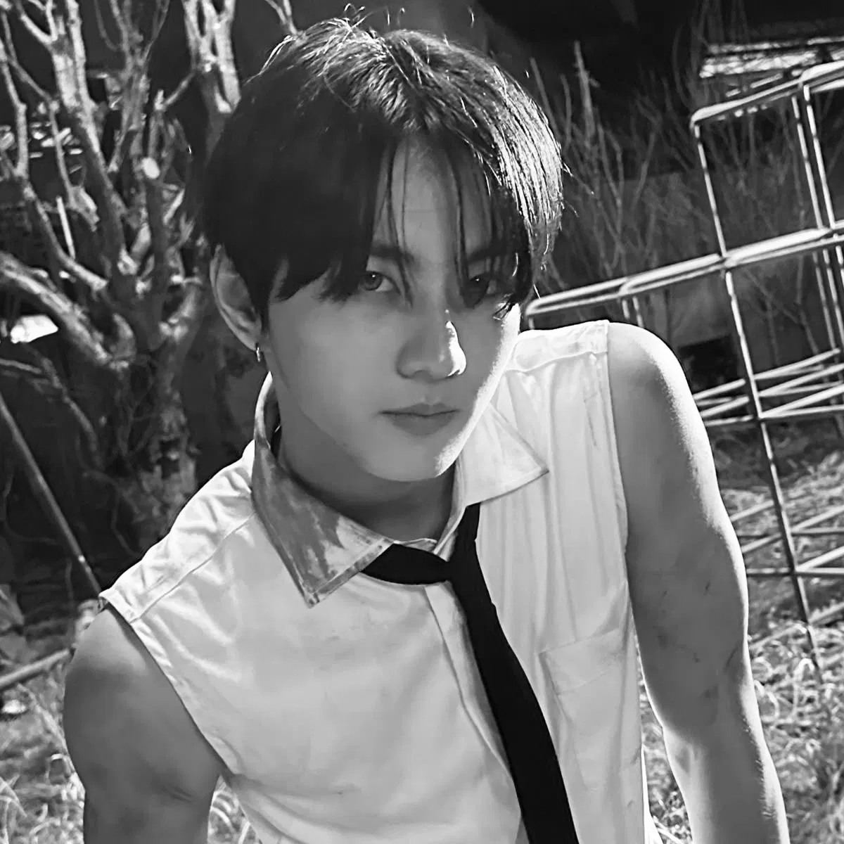 Avatar of Yang Jungwon .˚⊹.🧟⊹˚.