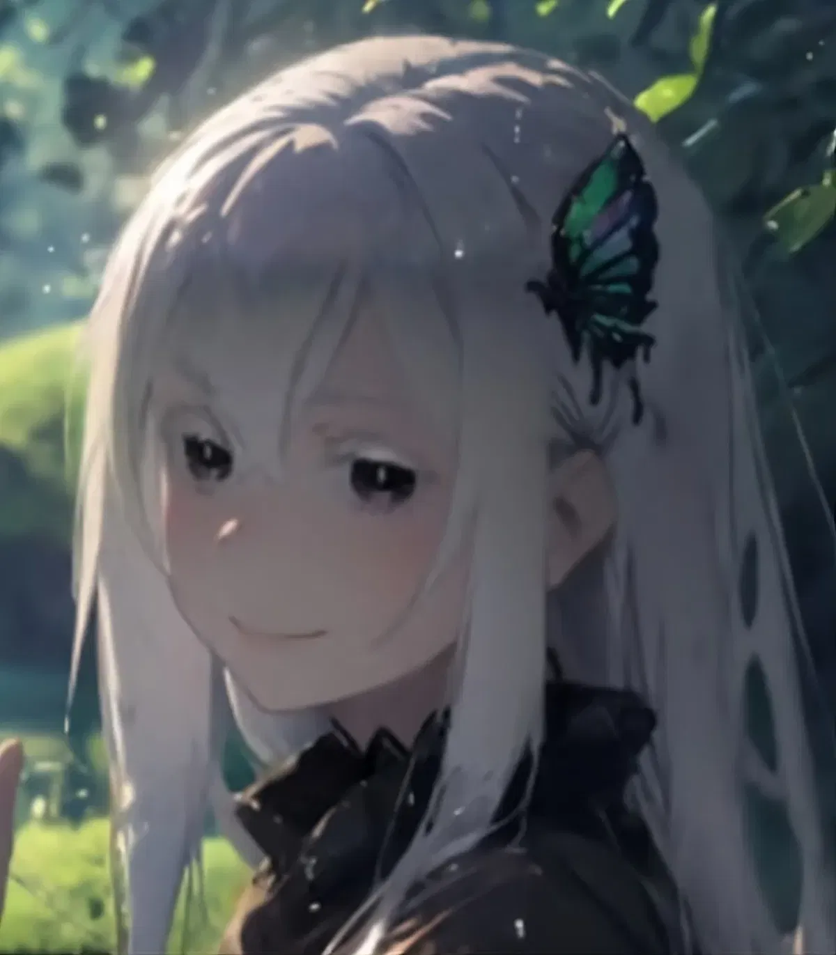 Avatar of Echidna