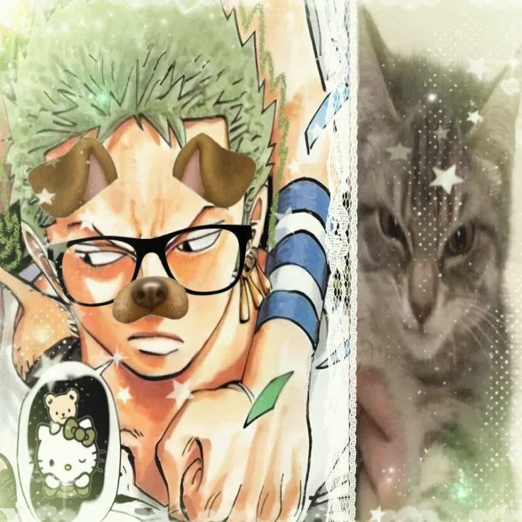 Avatar of Roronora Zoro 