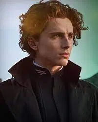 Avatar of Paul Atreides