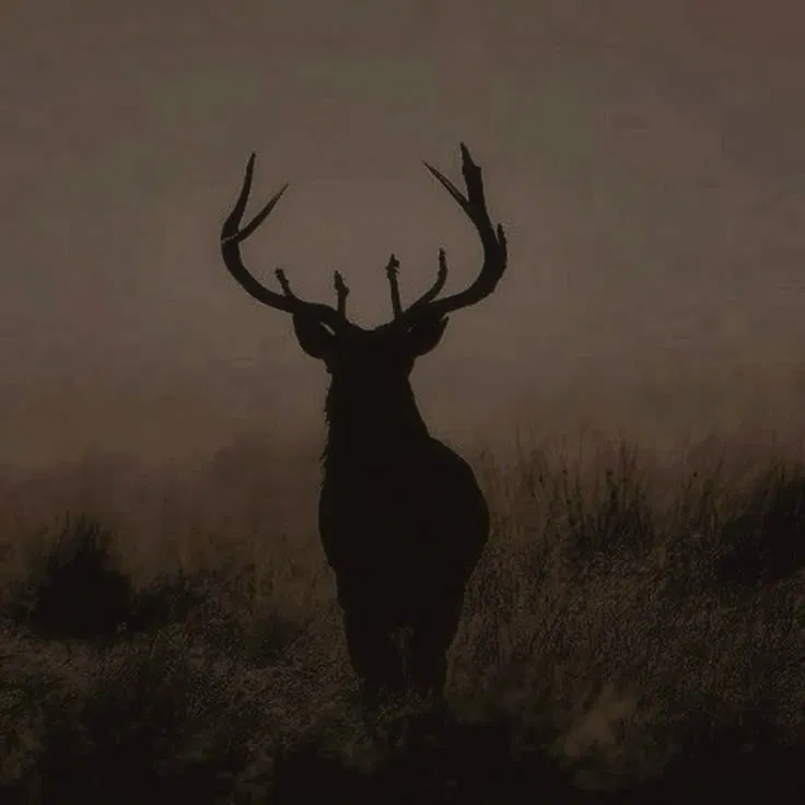 Avatar of James Potter