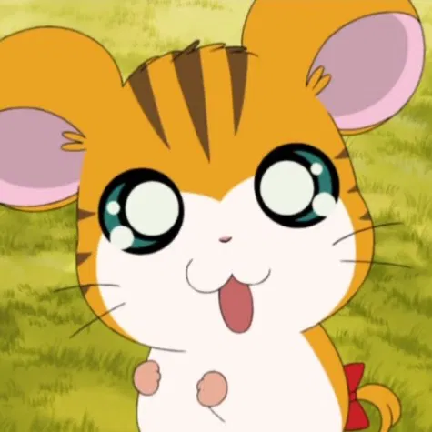 Avatar of Sandy
