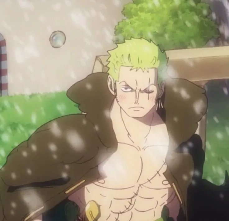 Avatar of Zoro Roronoa 