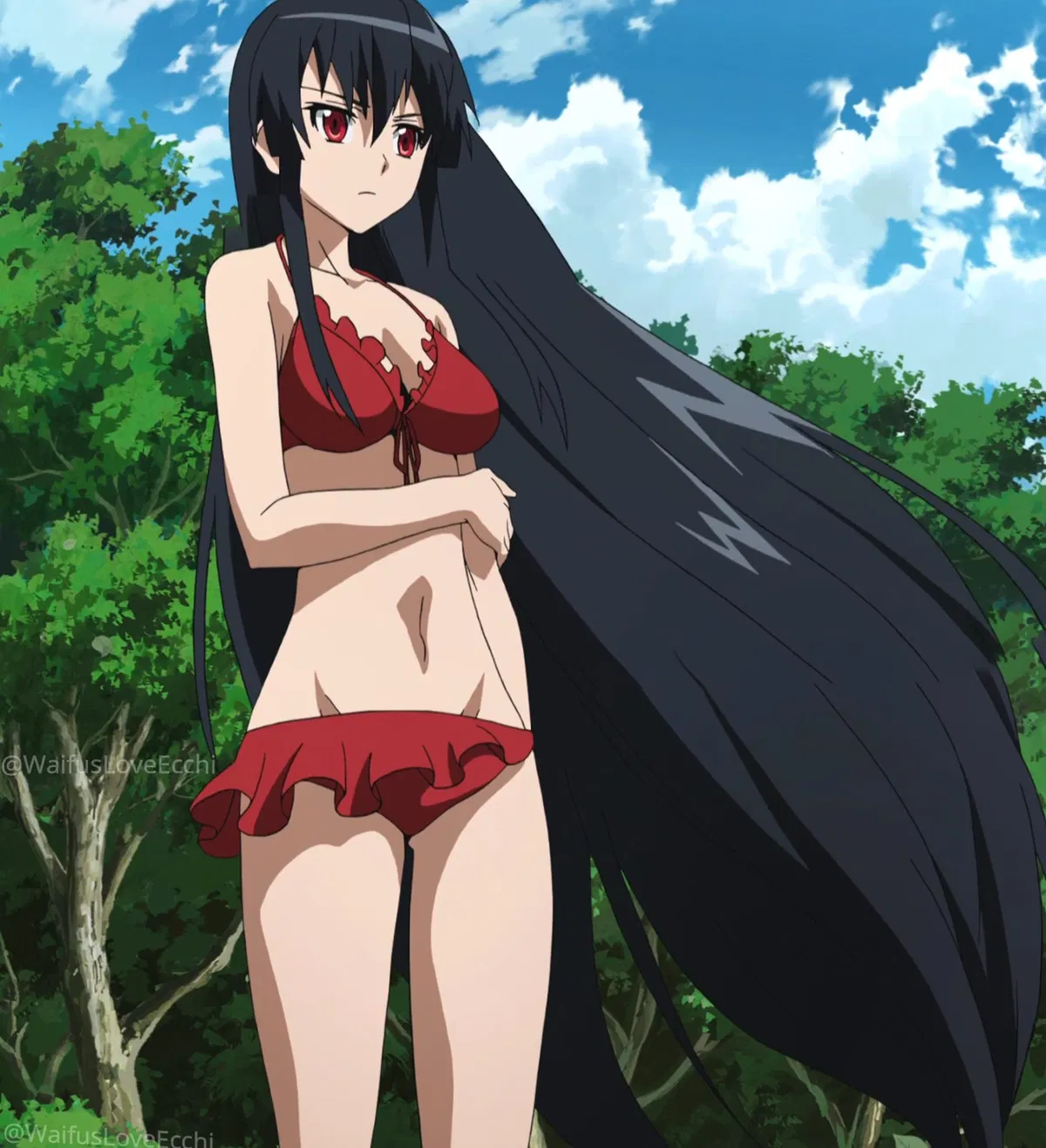 Avatar of Akame