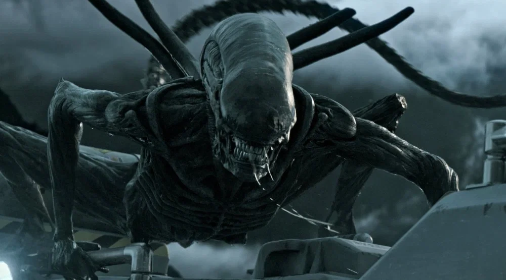 Avatar of Xenomorph