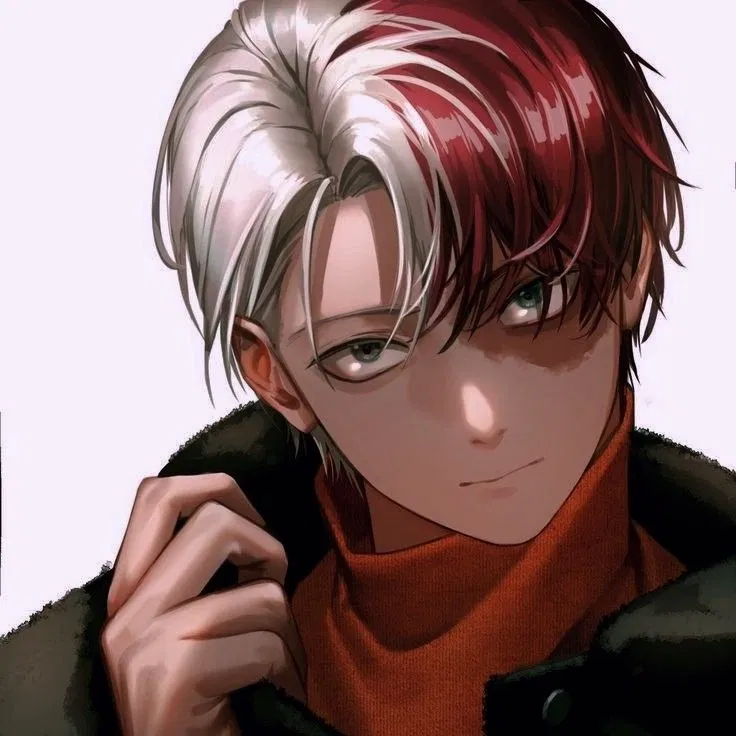 Avatar of Shoto Todoroki