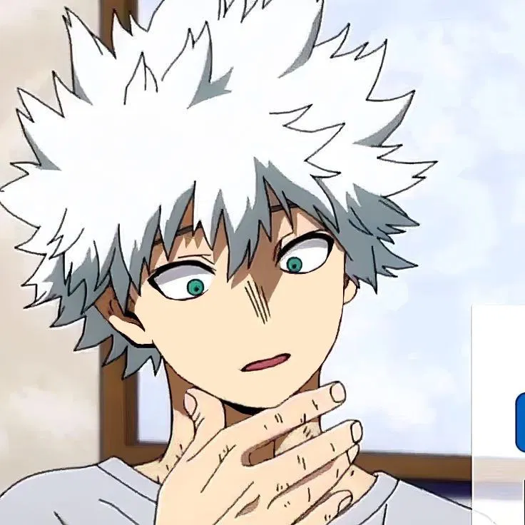 Avatar of Touya Todoroki