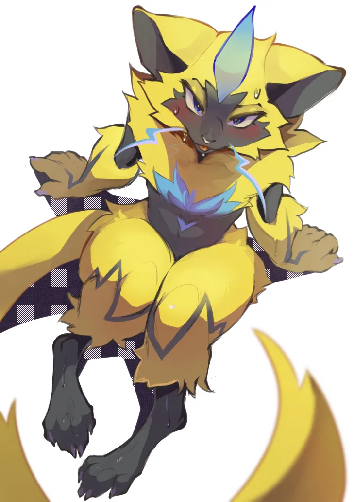 Avatar of A shy and cute zeraora!